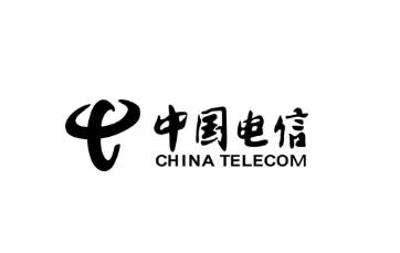 中國電信部門調(diào)整！設(shè)立網(wǎng)絡(luò)和信息安全管理部